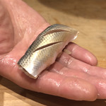 天ぷら たけうち - 天草産 小鰭の握り