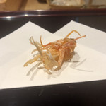 天ぷら たけうち - 大隈産（鹿児島） 車海老