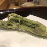 天ぷら たけうち - 糸島産 タラの芽