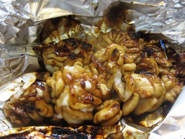 Wakanami Zushi photo 3