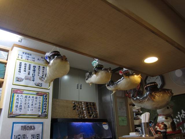 Wakanami Zushi photo 5