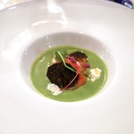 スプレンディード - ☆グリンピース　甘海老　ブッラータ　グリッシーニ　黒トリュフ