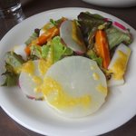 コッキーナ - ランチにつく有機野菜サラダ