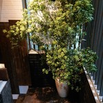 みざん - 和風な階段降ります。