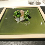 リストランテ カノフィーロ - 真鯛のクルード　チーマデラーパとコラトゥーラ