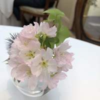 リストランテASO - 