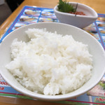 北のどんぶり屋 滝波食堂 - ご飯は、半ライス程度で。