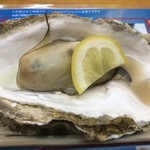 北のどんぶり屋 滝波食堂 - 焼き牡蠣、プリプリ、クリーミー、幸せ。