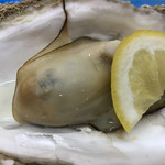 北のどんぶり屋 滝波食堂 - 