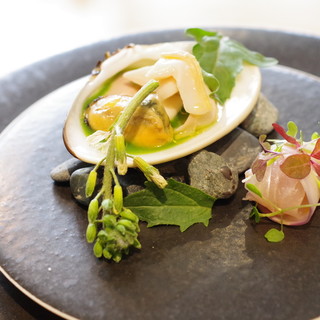 メシモ - 料理写真:ハマグリ、金目鯛