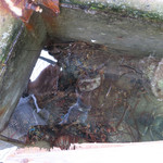 お食事処やまはた - 