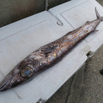 お食事処やまはた - 