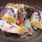 馬刺しと牡蠣の大衆酒場 酔つ馬 浅草橋東口店