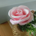 中華そば 紅蘭 - 