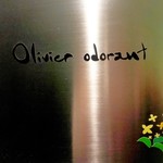 Olivier odorant - 