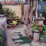 手打蕎麦処 蕎酔庵 いっこう - 