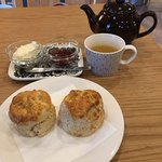 カフェ ウォルナット - 