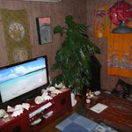 琉球の風 波照間 - 沖縄の海のDVD映像放映中2013年