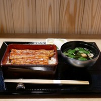 うなぎ 目白ぞろ芽 - 