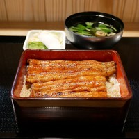 うなぎ 目白ぞろ芽 - 