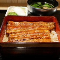 うなぎ 目白ぞろ芽 - 