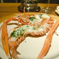 TXOKO - 