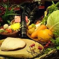 オッジ ダルマット 西麻布店 - 