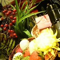 オッジ ダルマット 西麻布店 - 