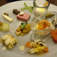 オッジ ダルマット 西麻布店 - 