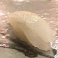 鮨 香坂 - 