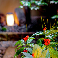 祇園 末友 - 店内