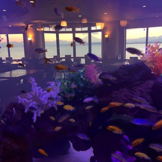 『色鮮やかなカワイイ小魚たちが泳ぐ店内の水槽＆絶景富士山』