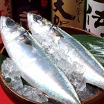 焼鳥と魚と鍋 焼鳥のえーす - 鮮魚の盛り合わせ