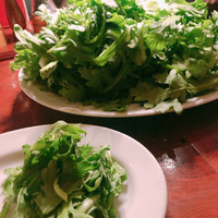 カルネジーオ イースト - 