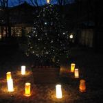 由布院 玉の湯 - 今年もツリーがありました