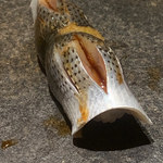 寿し おおはた - 