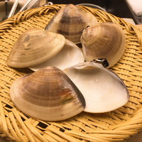 懐石料理 桝田 - 