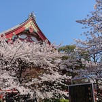 ミスターデンジャー - 