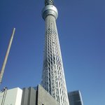 野口鮮魚店 - 東京スカイツリー　６３４ｍ