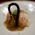 肉割烹 上 - ボタン海老と紫雲丹