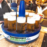 Standige Vertreting - Sion Kolsch Kranz