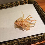 つんつる天 水族館口 天ぷら 食べログ