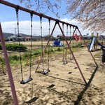 吾助 - さくら開花♡