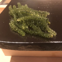 匠　達広 - 