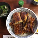 イチビキ - うな丼 上 セット