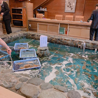 河太郎 中洲本店 - 