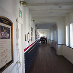 テディ・ルーズヴェルト・ラウンジ - テディ・ルーズヴェルト・ラウンジ