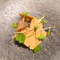 ジョンティ アッシュ - 