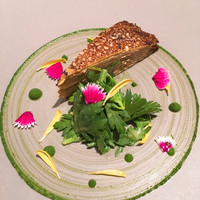 ジョンティ アッシュ - 