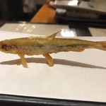 旬彩天 つちや - 